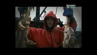 Discovery Channel - Blok reklamowy, zapowiedzi oraz spot. 09.2008 r.