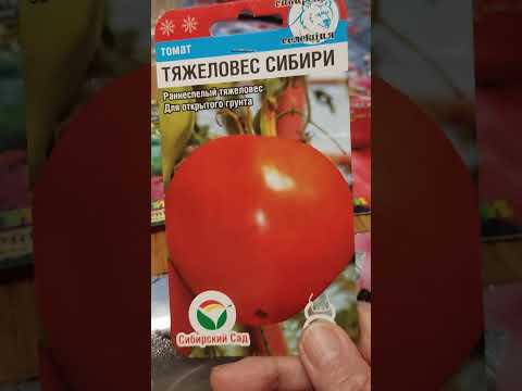 Провела тестирование трех