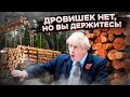 Россия запретила дрова: в Европе началась паника!