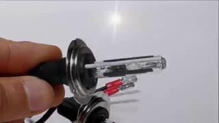 2 ampoules de rechange HID H7C H7 C courte PX26D pour kit xenon