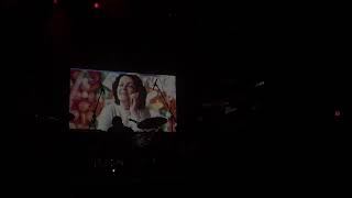 PANDA BEAR - VIRGINIA TECH / INNER MONOLOGUE (LIVE BOSTON 2/12/25)