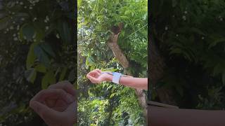 using handmade Web shooter 🕸️ #craft #toy #diycrafts #new