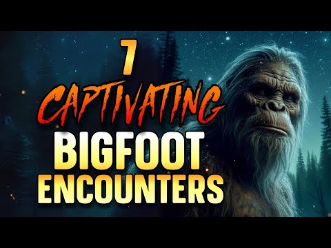 7 CAPTIVATING BIGFOOT STORIES