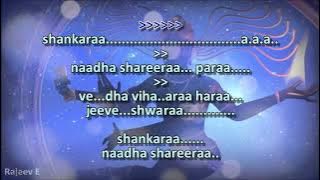 Shankara Naadha Shareera Para - Malayalam Karaoke with synced lyrics
