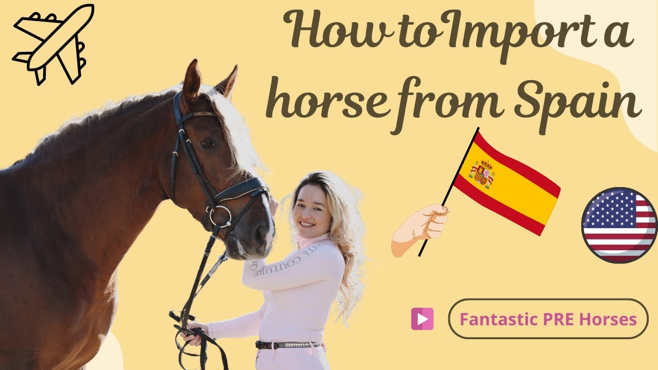 How to import a horse from Spain 🇪🇸 to USA 🇺🇸 YouTube