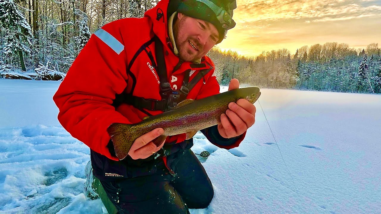 ФОРЕЛЬ БЕГЛЯНКА В СОЛНЕЧНОЙ КАРЕЛИИ, ПОПРОБУЙ ЕЁ ПОЙМАЙ, ОБХИТРИТ ЛЮБОГО РЫБАКА!