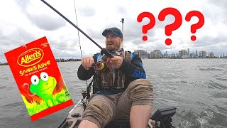 Catch Fish With Snakes Alive Lollies/Candy????? screenshot 4