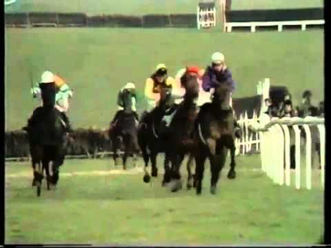 Night Nurse- The 1976 Champion Hurdle (Cheltenham)