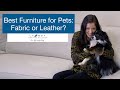 Best Furniture for Pets: Leather or Fabric?