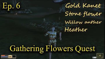 The Elder Scroll 3  Morrowind Ep 6 | 4 type of flower | Ajira quest