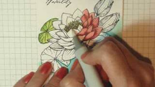 More Copic Coloring Tips with Cindy Lawrence