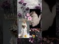 🌻LMH🌻@actorleeminho #leeminho #leeminhoworld #leeminhofilm #leeminhofans #leeminhoforever #bts