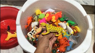 Plastic Animals In water Tub | plastic Insects In water Tub | leopard Toy | satisfying toys ideas