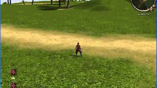 Metin2 - Multihack 2011 [One Hit Kill,Speedhack and more..]