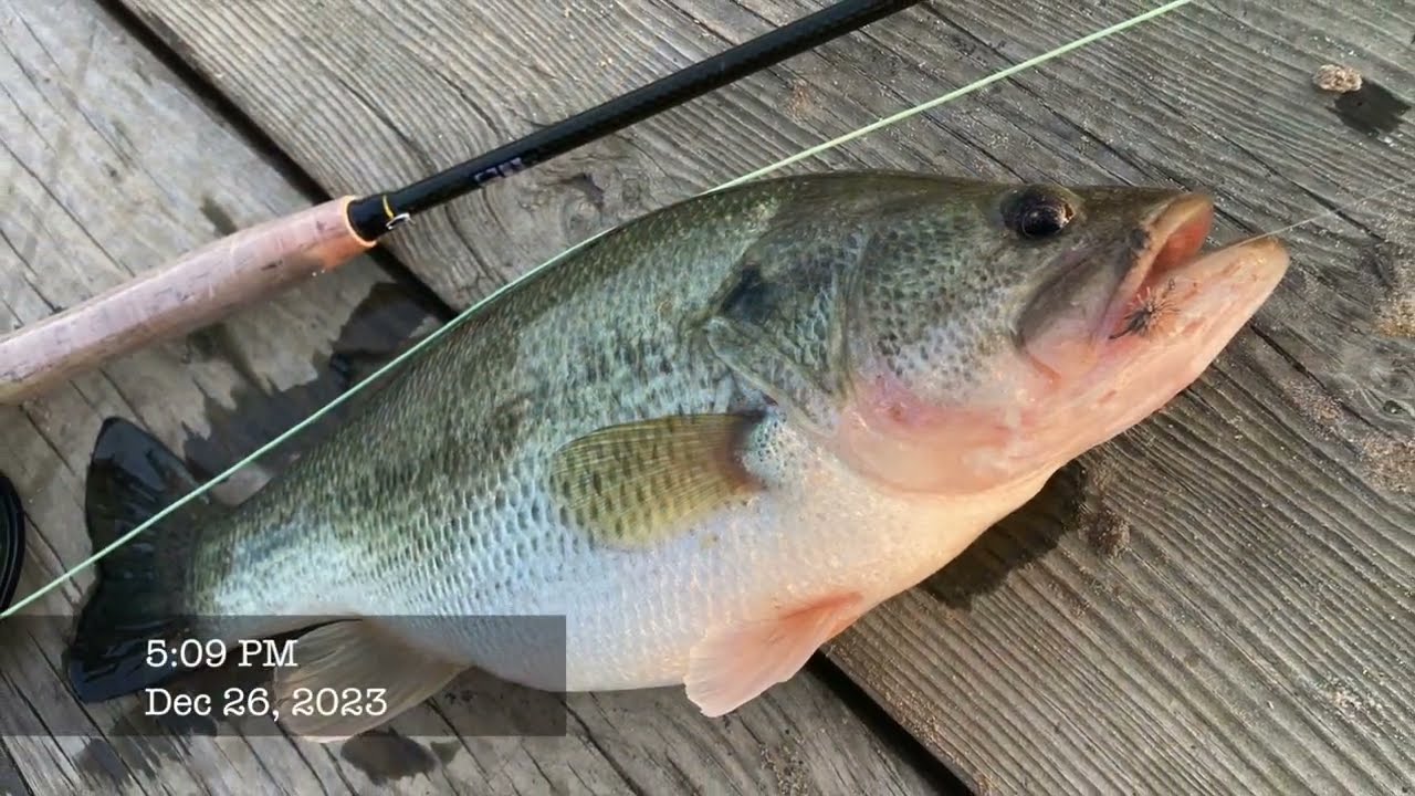 Bait well ideas? - Texas Fishing Forum