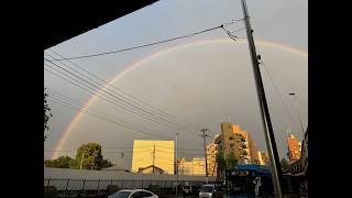 シン・なかさん劇場　GWはイマーノ君で