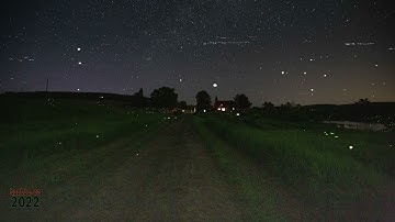 Firefly Simulation - July 10, 2022