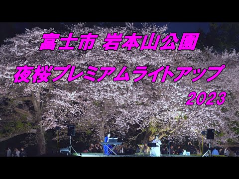 富士市 岩本山公園の夜桜プレミアムライトアップ2023