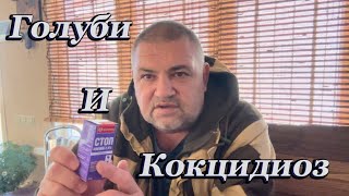 видео: Голуби и кокцидиоз картинка: Голуби и кокцидиоз