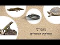 מאפייני מחלקת הזוחלים