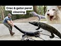 Croc & gator pond cleaning, croc monitor feeding, coati cuddles