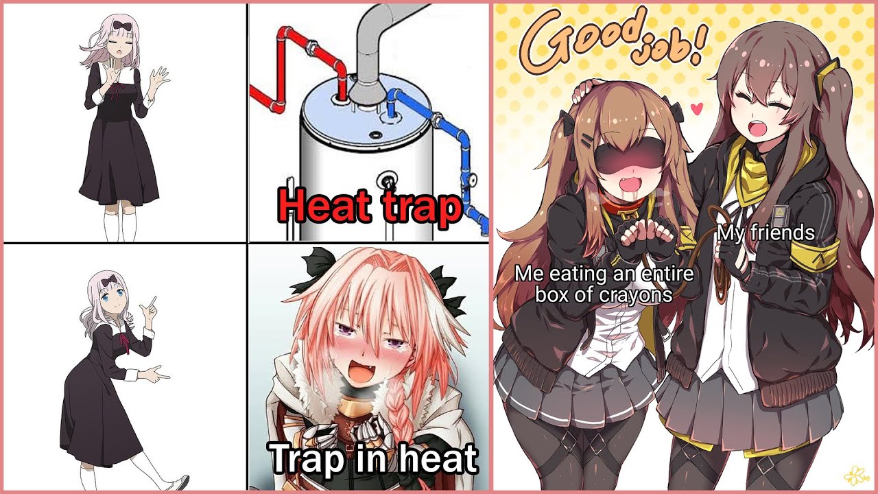 Best Funny traps are life Memes  9GAG