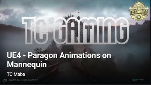 UE4 -  Paragon Animations on Mannequin