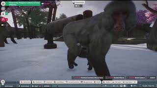 Emperor's New Groove 🦙 Habitat and Japanese Macaques Planet Zoo