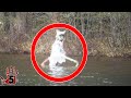 Top 5 Scary Cryptids That Really Exist