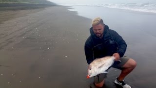 Surf Casting 800 Metres Past the Breakers With a Kite Fishing Rig