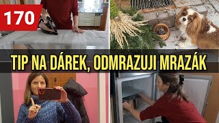 VLOG | Odmrazuji mrazák | Tip na dárek pro celou rodinu | Jdu na mamograf