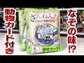 なぞの味だと！？しかも限定カード付き！ざんねんないきもの事典キャンディー 開封レビュー