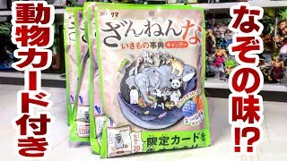 なぞの味だと！？しかも限定カード付き！ざんねんないきもの事典キャンディー 開封レビュー