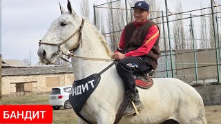 БАНДИТ   ЧЫКТЫ  АЛГАНГА ЖЕТИШИП КАЛГЫЛА  Асамидинде