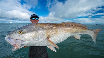 GIANT Redfish & Snook! Catch Clean Cook