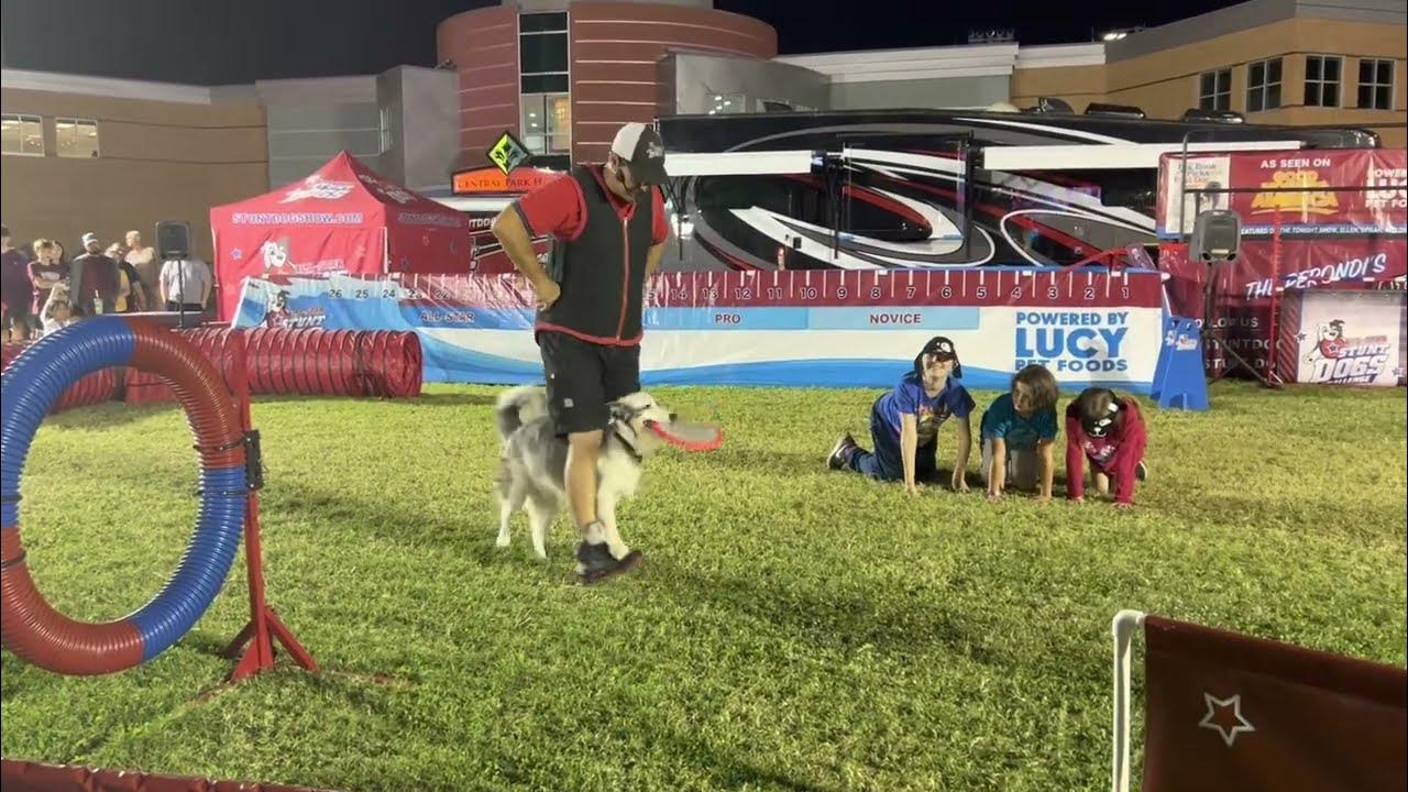 Stunt dog show Tulsa state fair 2022 YouTube
