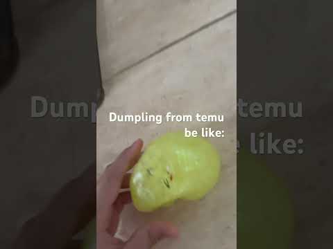 Guys, i think its fake #squishy #dumplings #needoh