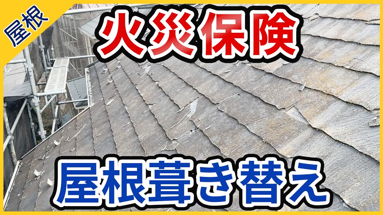 動画サムネイル