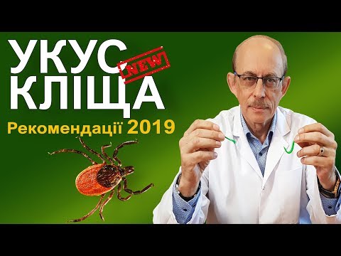 Укус кліща - діагностика, лікування хвороби Лайма / Бореліозу,  CDC і AMMI 2019