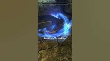 Killing Random NPCs In Skyrim Until The Elder Scrolls 6 (Week 7)