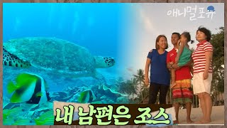 조스를 사랑한 그녀, 사랑 하나로 남태평양 작은 섬나라까지 왔다🏝️ 신이 내린 마지막 바다정원, 팔라우 | 내 남편은 조스 | KBS 인간극장 2013 방송