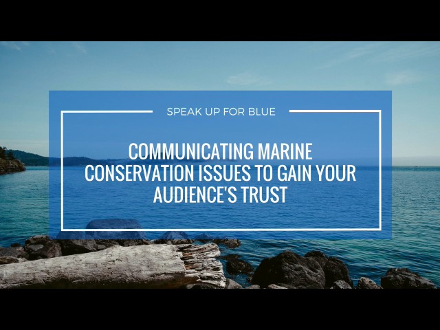 Basking Shark Protection: How to Communicate Levels of Protection Effectively to the Public