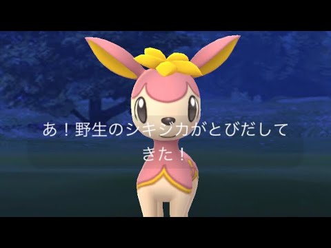 ポケモンgo 新実装されたシキジカ はるのすがた ゲットチャレンジ Youtube