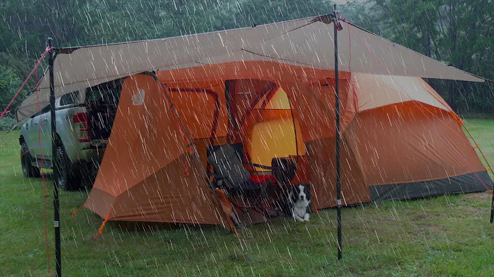 Car CAMPING in RAIN - North Face TENT