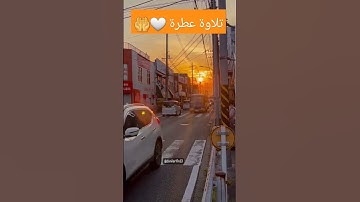 🤍🙏 #reels #تلاوات_خاشعة #القرآن_الكريم #quotes #quran #ترتيل #ماهر_المعيقلي #سعود_الشريم #علي_جابر