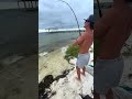 #fishing #florida #fish #outdoors
