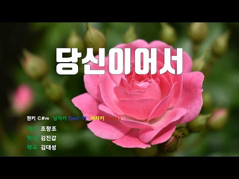 [은성 반주기] 당신이어서 - 조항조