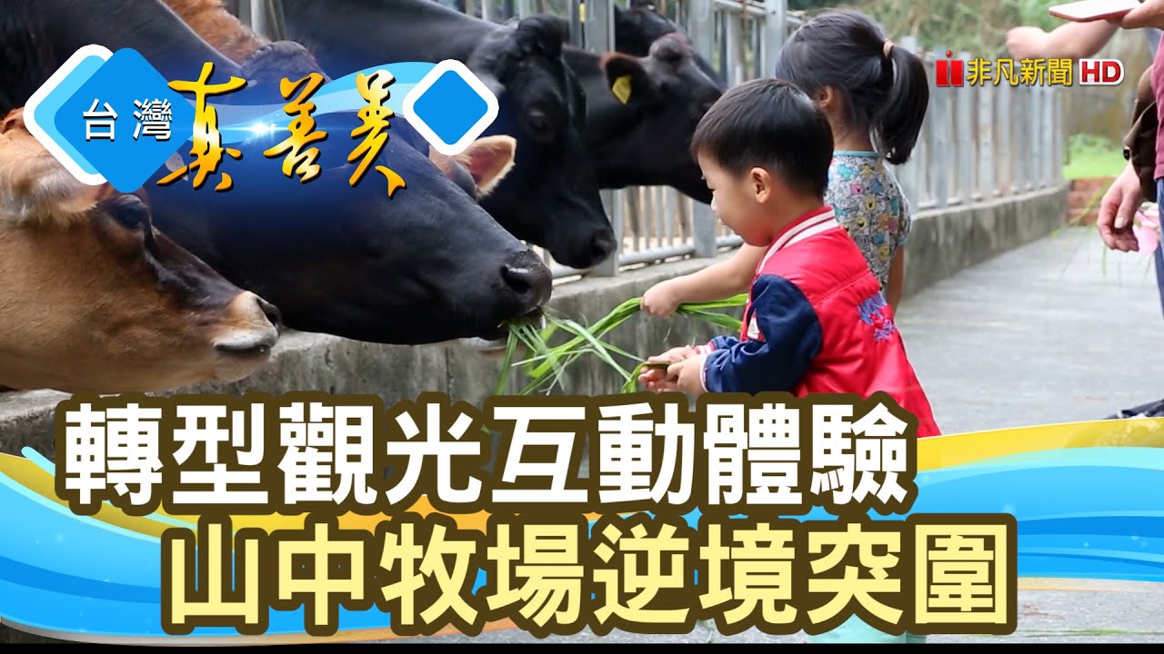 逆境突圍的 山中牧場 大山牧場 台灣真善美 11 22 Youtube