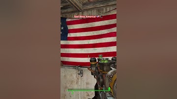 For the Enclave 🇺🇸🦅#fallout #fallout4 #gaming #shorts #fyp #viralvideo #enclave