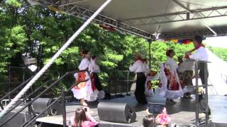 Dog wood fetival Atlanta168。com摄制 6